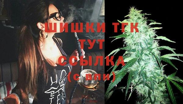 ГАЛЛЮЦИНОГЕННЫЕ ГРИБЫ Лагань