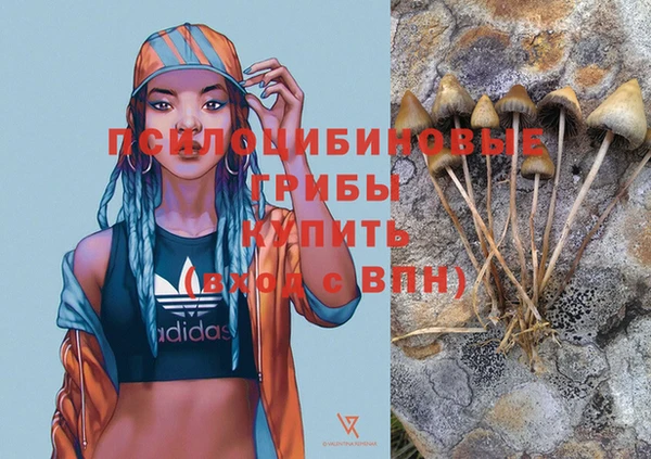 ГАЛЛЮЦИНОГЕННЫЕ ГРИБЫ Лагань