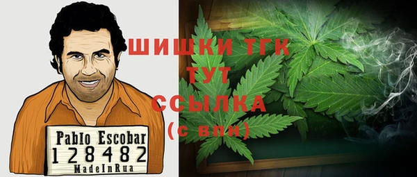 ГАЛЛЮЦИНОГЕННЫЕ ГРИБЫ Лагань