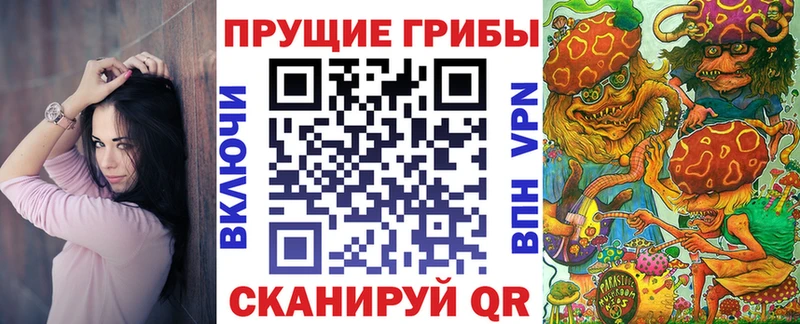 нарко площадка состав  Малаховка  Галлюциногенные грибы Cubensis 